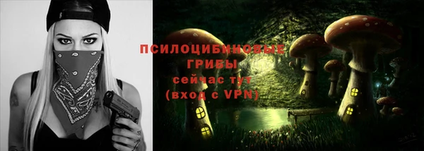 амф Алексеевка