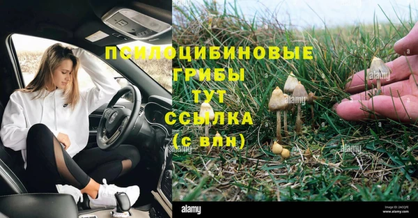 таблы Алексин